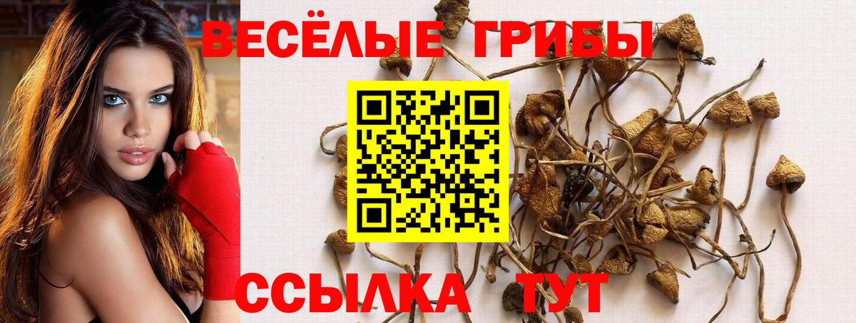 Галлюциногенные грибы ЛСД Еманжелинск